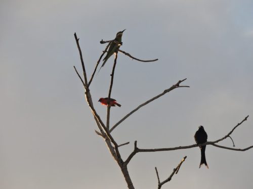 DSCN3616
