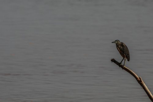 IMG 0709